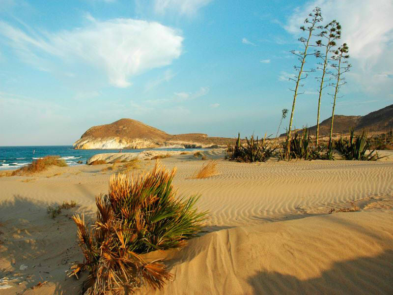 Playa de Genoveses