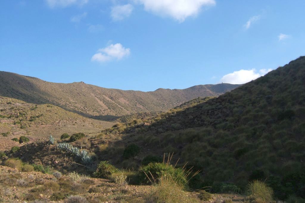 Majada Redonda