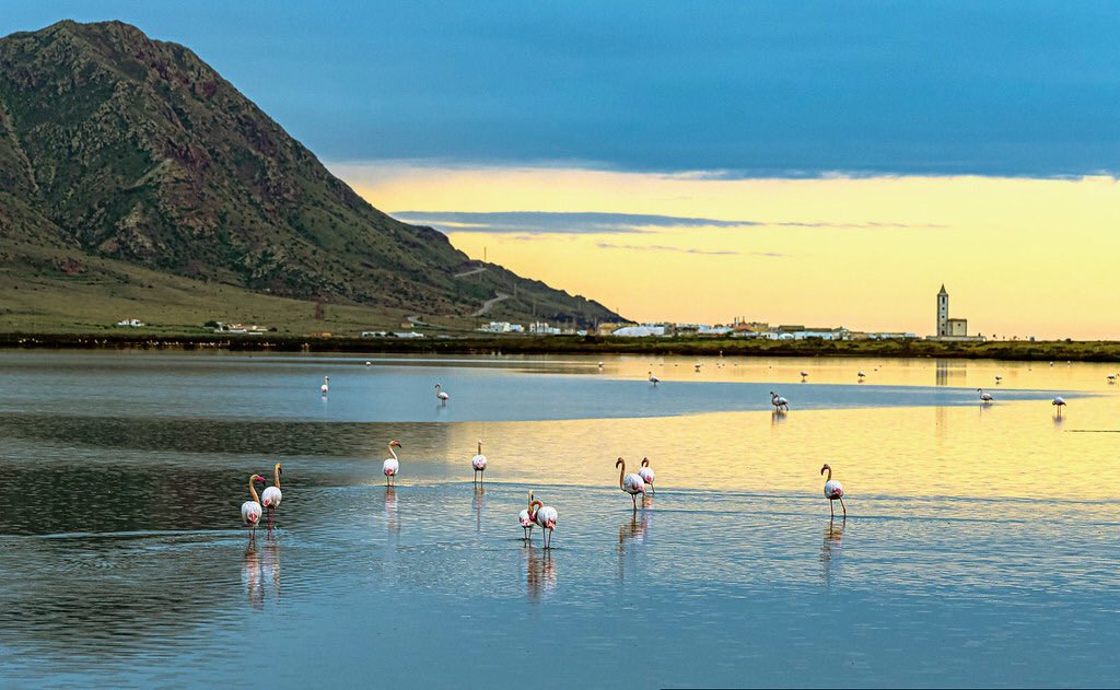 Las Salinas de Cabo de Gata