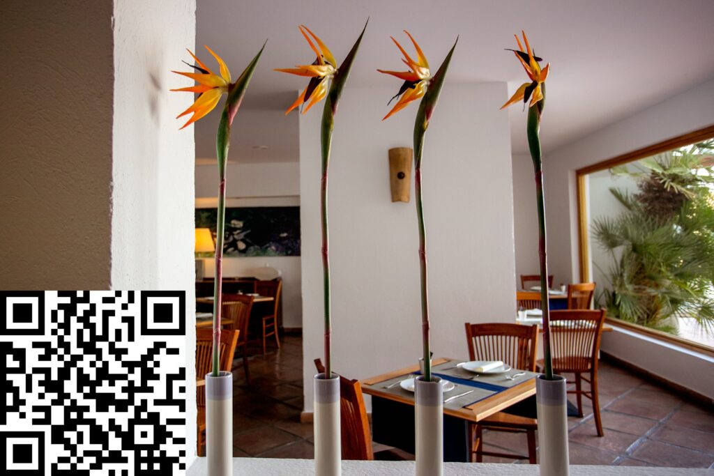 Restaurante Tio Kiko