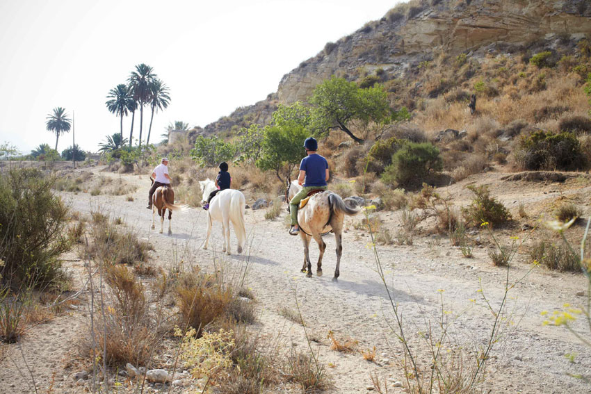 Hípica de Agua Amarga