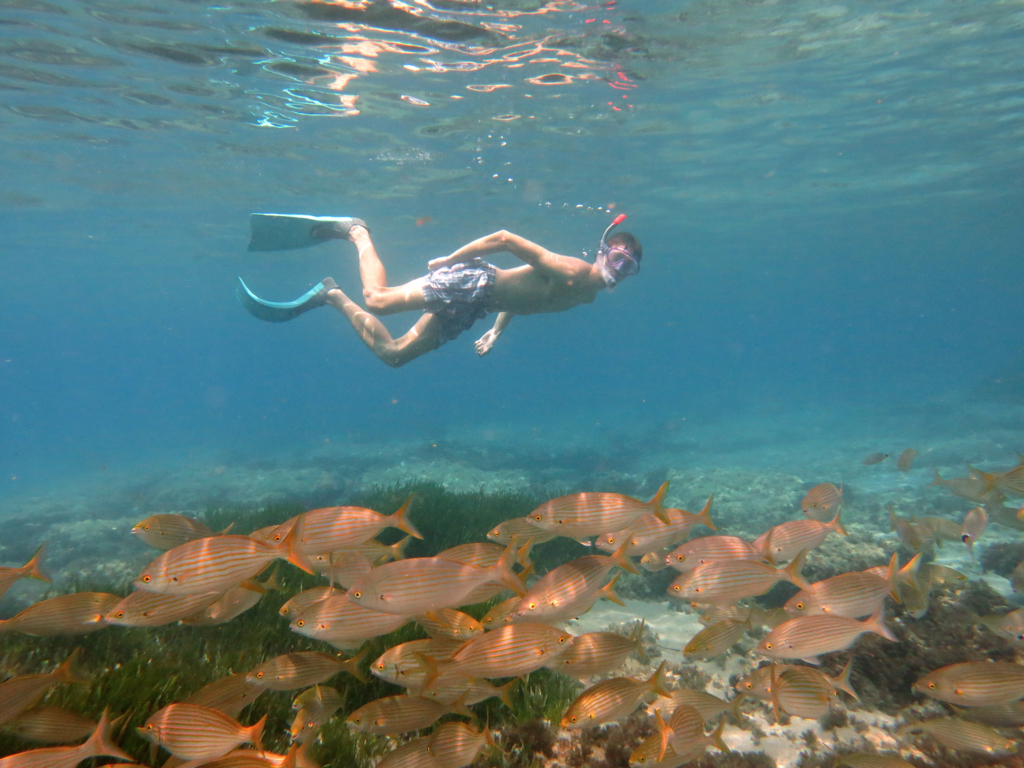 EcoAgata – Snorkel en Cabo de Gata