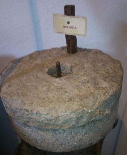 Un niño descubre una potencial piedra de molino de origen romano