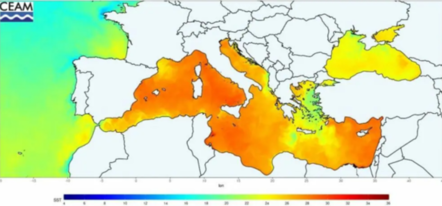 La temperatura del agua en Cabo de Gata sigue batiendo records